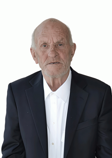Giorgio Danioli